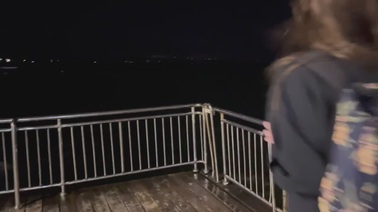 Načítať video: 