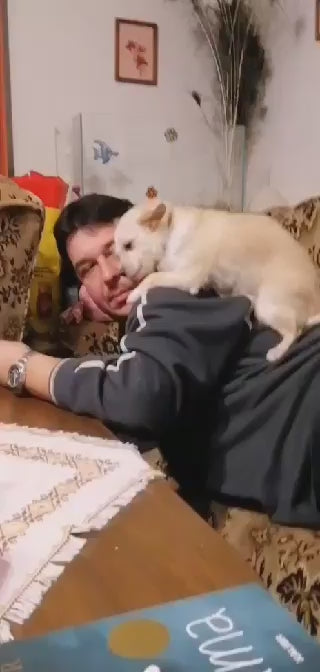 Načítať video: 